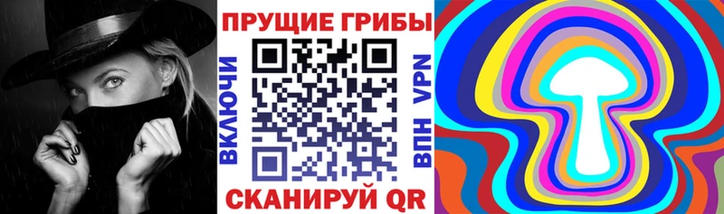 Галлюциногенные грибы MAGIC MUSHROOMS  блэк спрут онион  Котельнич 